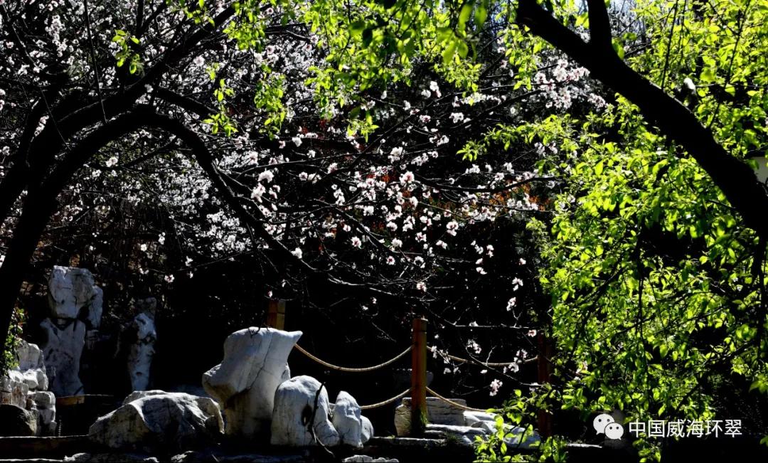 环翠景色,环翠美景