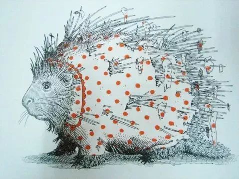 动物绝对不能穿衣服的绘本感言,比较好看的动物绘本推荐