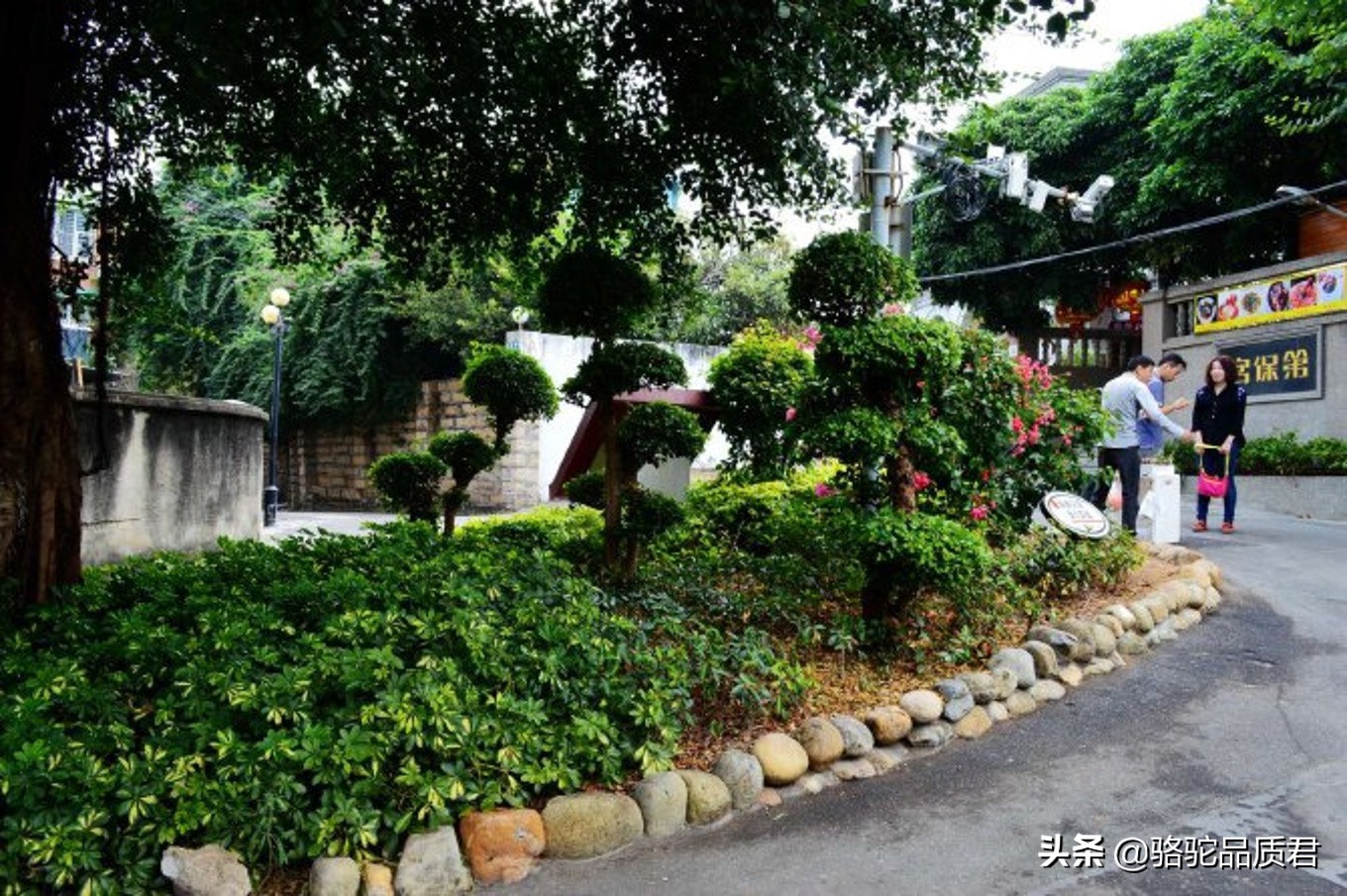 厦门海边之旅,厦门小众旅游体验