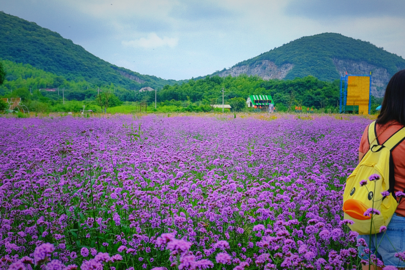安徽旅行记忆|广德:江浙皖交界处的“金三角”小城