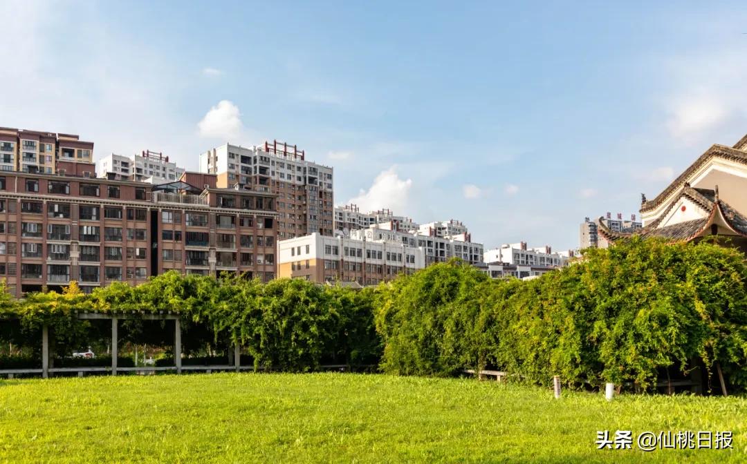 澶х編鏈潵鍙湡,澶х編涓婇ザ鏈潵鍙湡