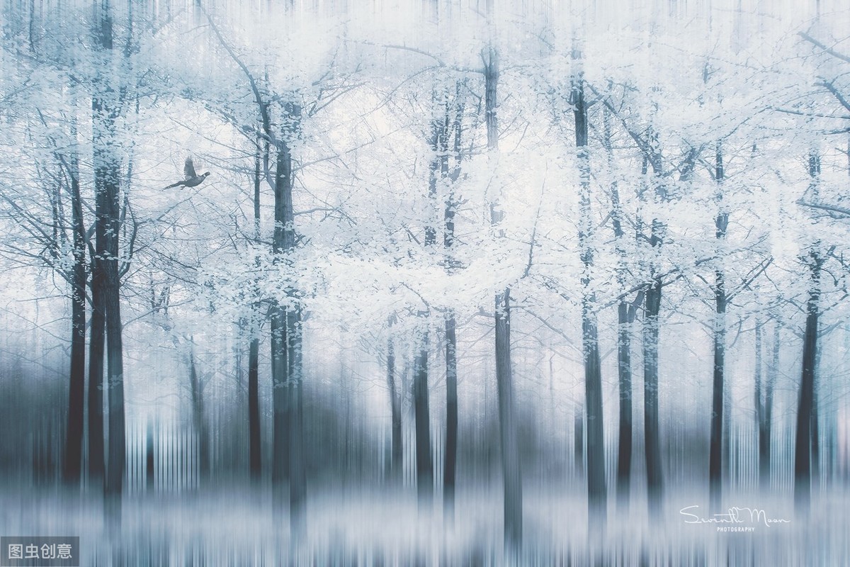 余秋雨经典语录及译文,余秋雨经典语录视频