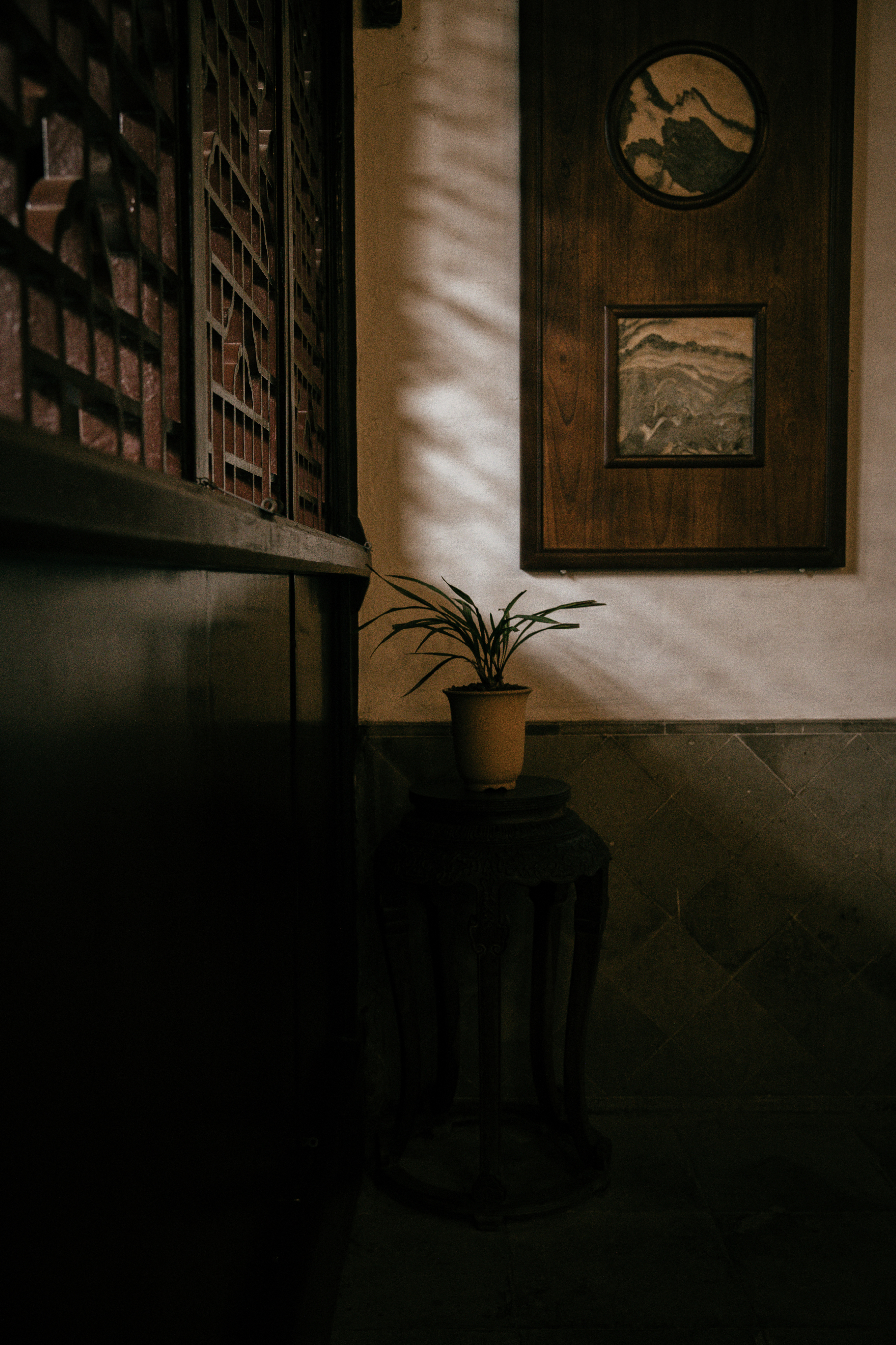 周庄古镇江南水乡美如画,周庄梦里水乡视频