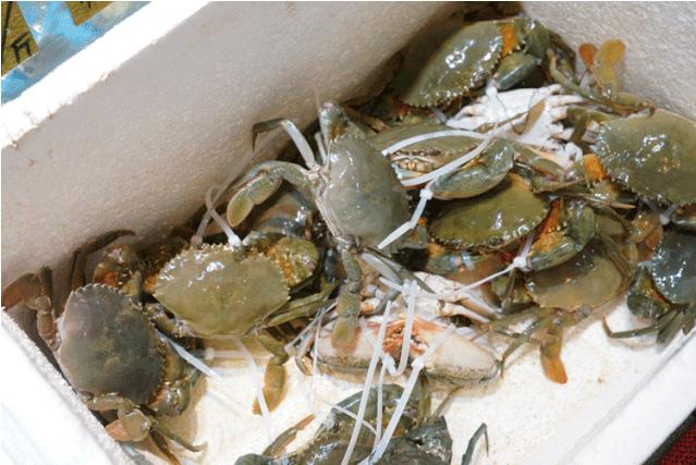 人均30就可以吃广式甜品,福建霞浦海鲜一条街哪家店最好吃