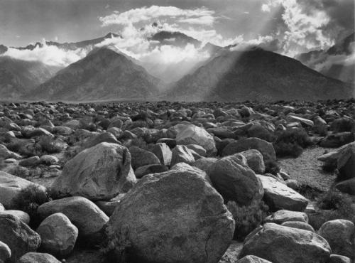 摄影初学者必备三要素,摄影时如何拍摄出光线