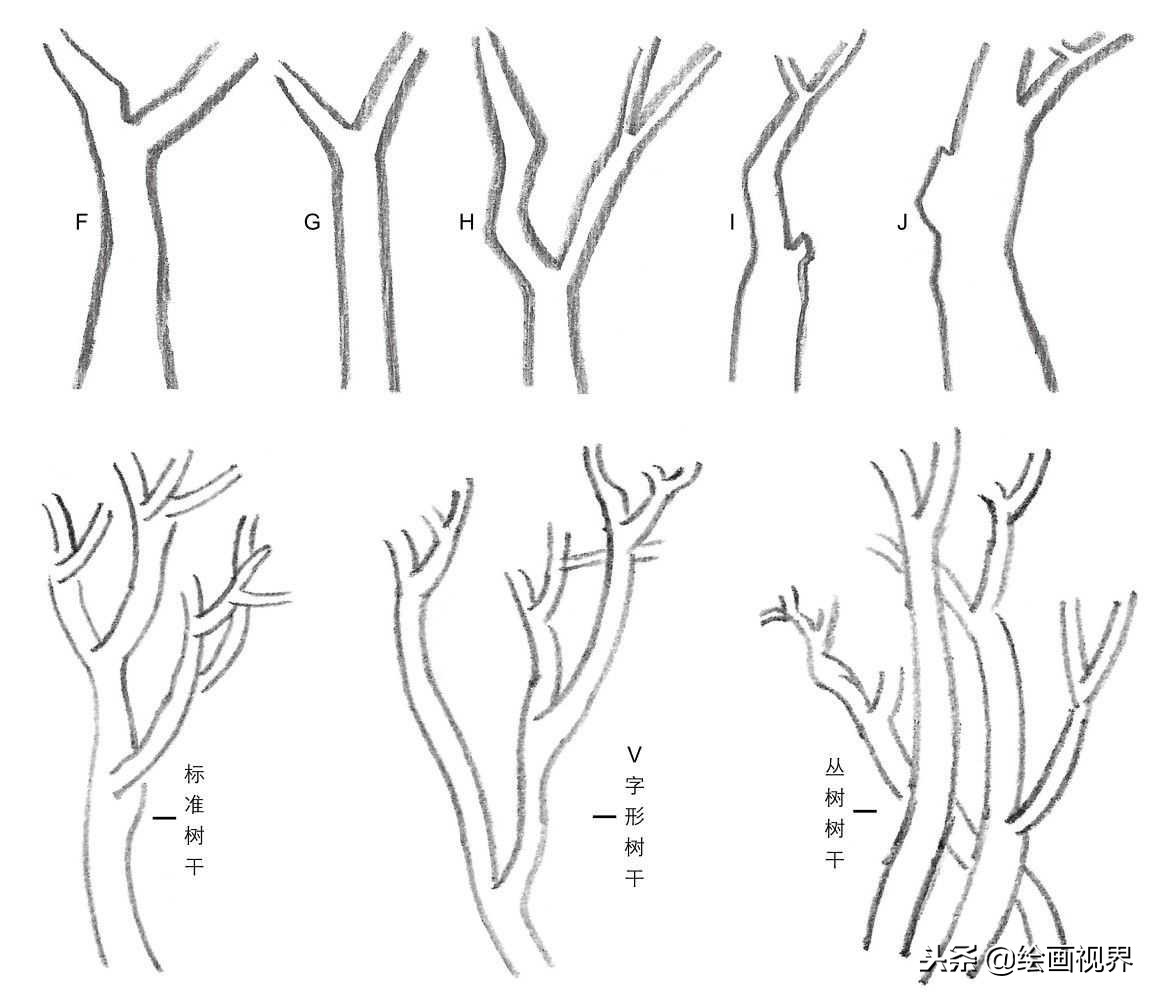 钢笔画入门教程花鸟,钢笔画入门基础教程人物