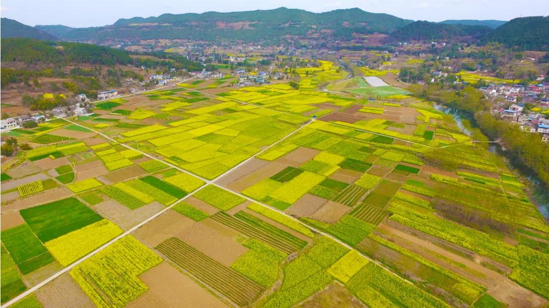 未来农村土地归谁种,农民城镇化了土地怎么办