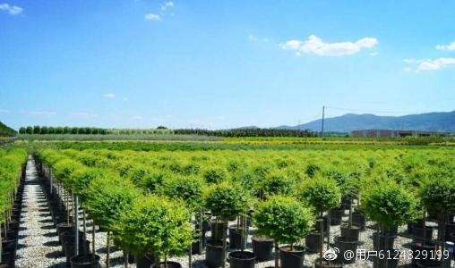 有趣的汉字读音相同,奇妙的汉字多音多义