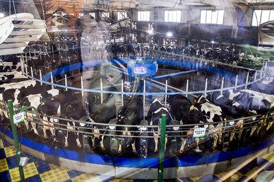 海淘原版奶粉,海淘奶粉进入中国