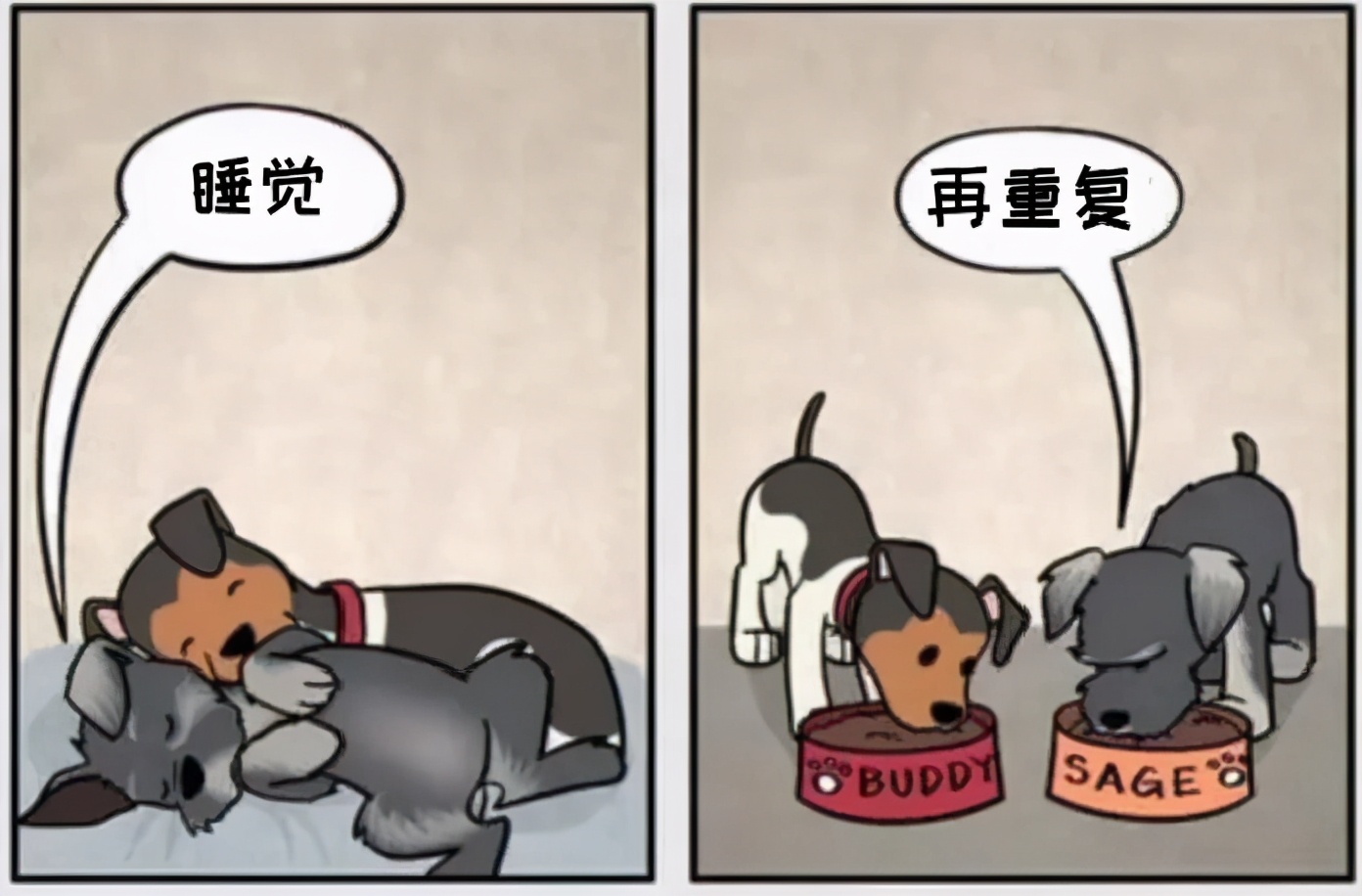 猫和铲屎官漫画全集,铲屎官和狗子的漫画