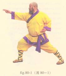 少林心意门拳视频教程,少林长护心意拳图解