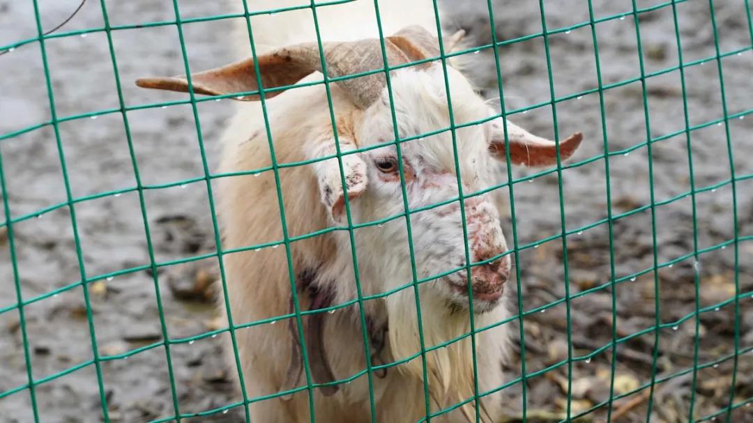 无锡本地人必去的店,来无锡必去的几家店