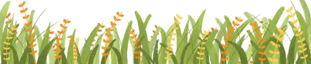 伊顿公学和哈罗公学哪个更好,切尔滕纳姆女子学校排名