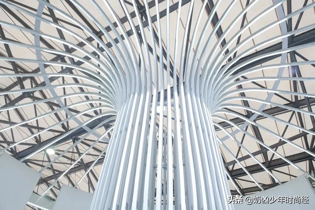 珀莱雅美博会,珀莱雅美博会展位