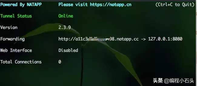 内网穿透服务器搭建教程,低成本搭建内网穿透服务器