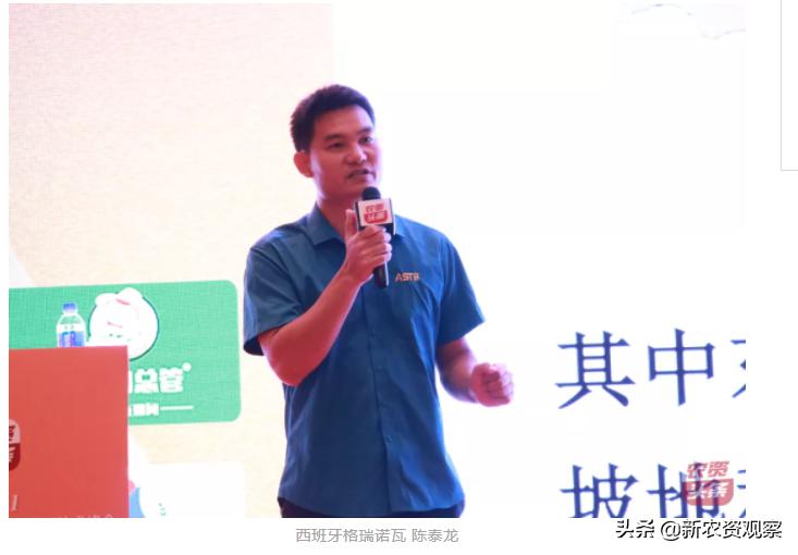 海南哈密瓜大市场,海南哈密瓜市场前景