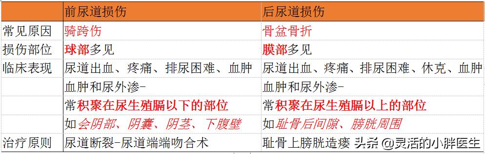 西医临床考研，泌尿外科，看这一篇
