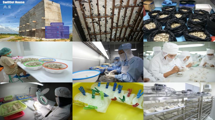 京东燕窝怎么选,京东旗舰店买燕窝靠谱吗