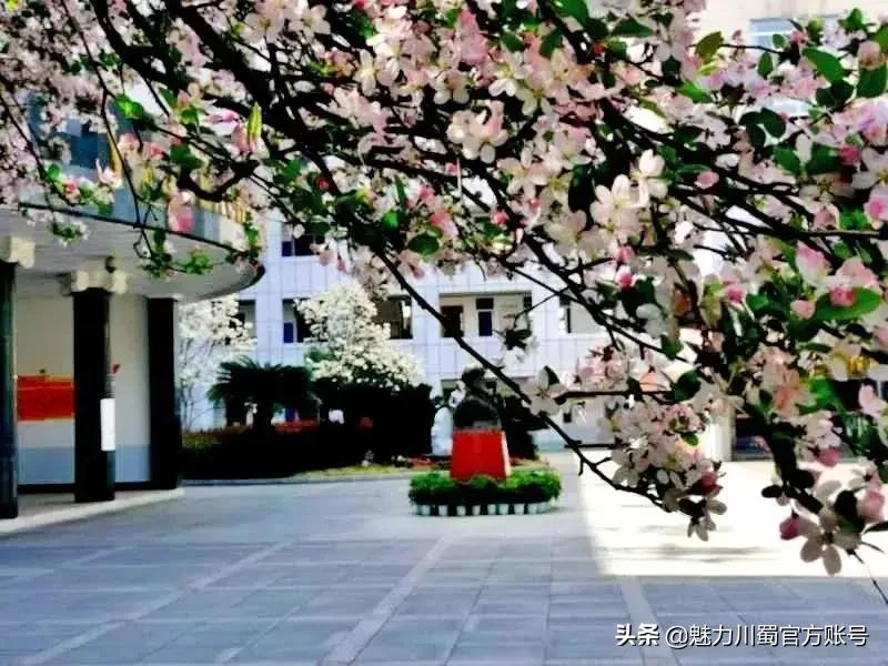 家长对学校家园合作评价,学生对绵阳南山中学评价