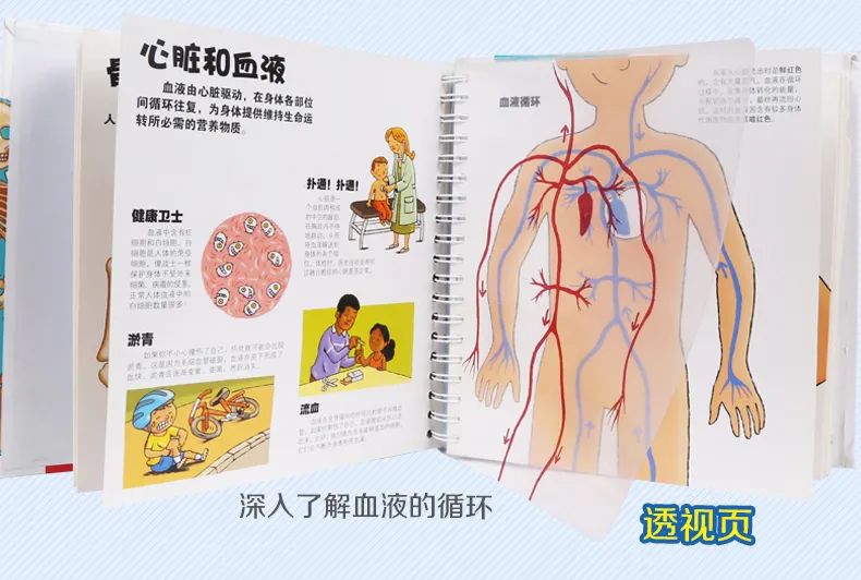 真实的性教育,如何让性教育不再难以启齿