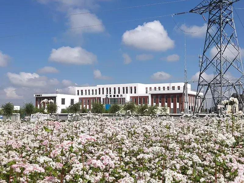 风电机遇,后发先至高质发展