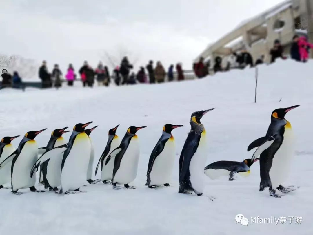 被疫情憋疯小朋友,被疫情憋疯的孩子们