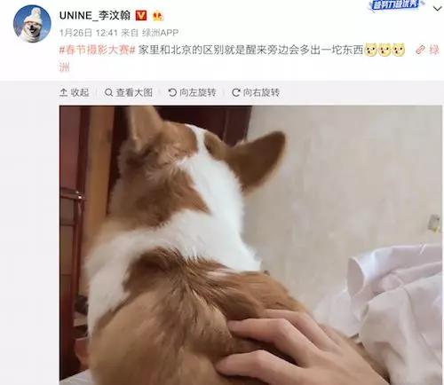 章子怡评李佳琦完整版,章子怡评价李佳琦完整版