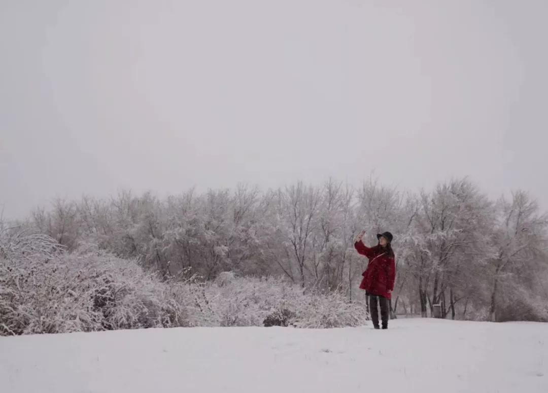 2020美到窒息！珠海的冬天，美炸了