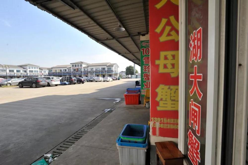 苏宁易购官网阳澄湖大闸蟹,苏宁签约阳澄湖大闸蟹