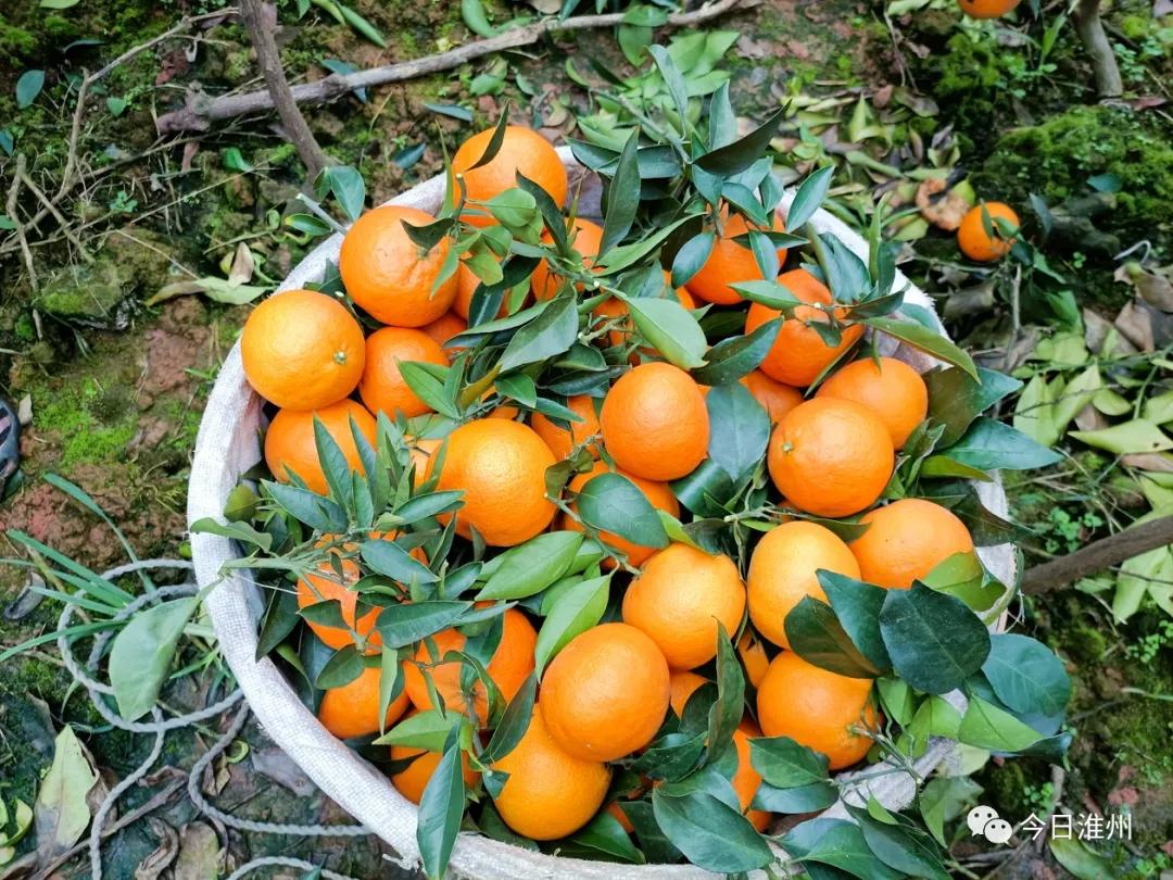 淮口景区,淮口附近旅游景区推荐一下