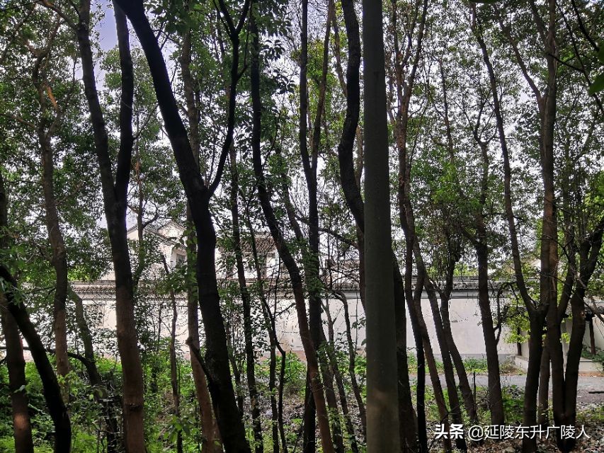 常州胥城遗址与恽南田的家乡