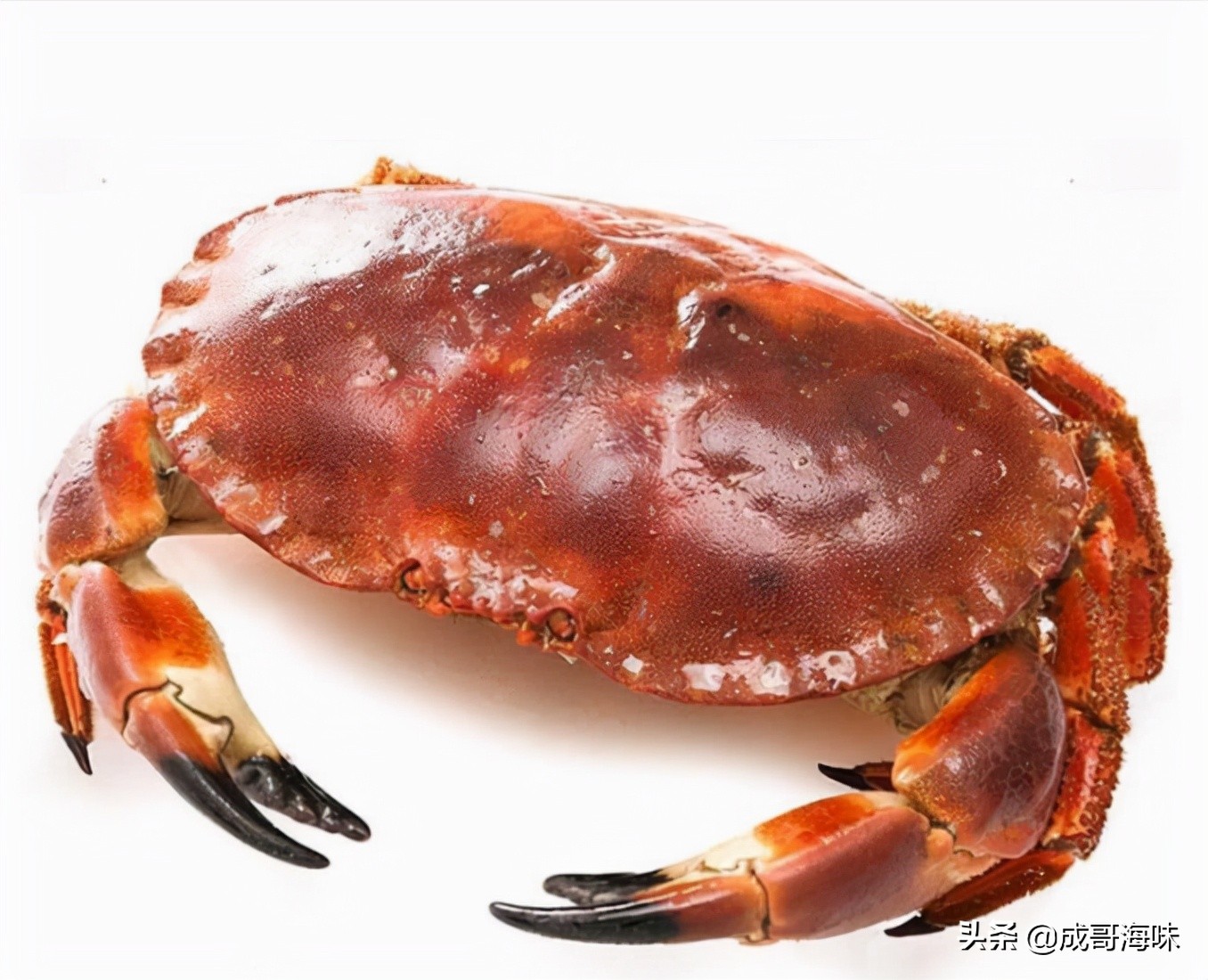 吃海鲜的六大忌你知道吗,吃海鲜不为人知的黑幕