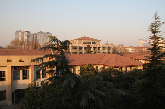 洛一高和理工哪个好,洛一高和二中哪个好