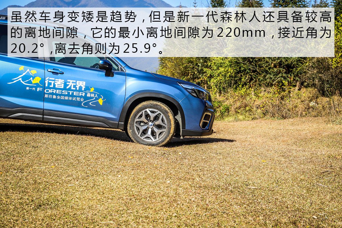 最新款斯巴鲁森林人最新试驾视频,斯巴鲁森林人2023款操控性