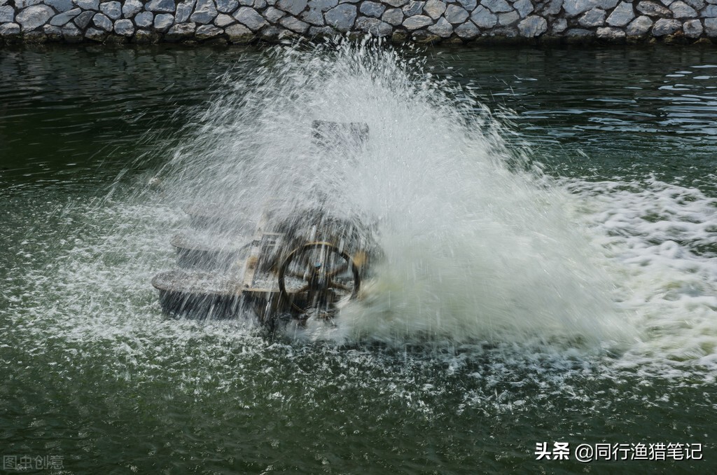 鱼缺氧如何增氧,鱼缺氧了是怎么自救