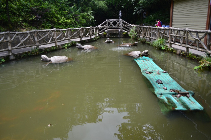 长沙到张家界旅游攻略自由行三天,长沙至张家界旅游攻略自由行三天