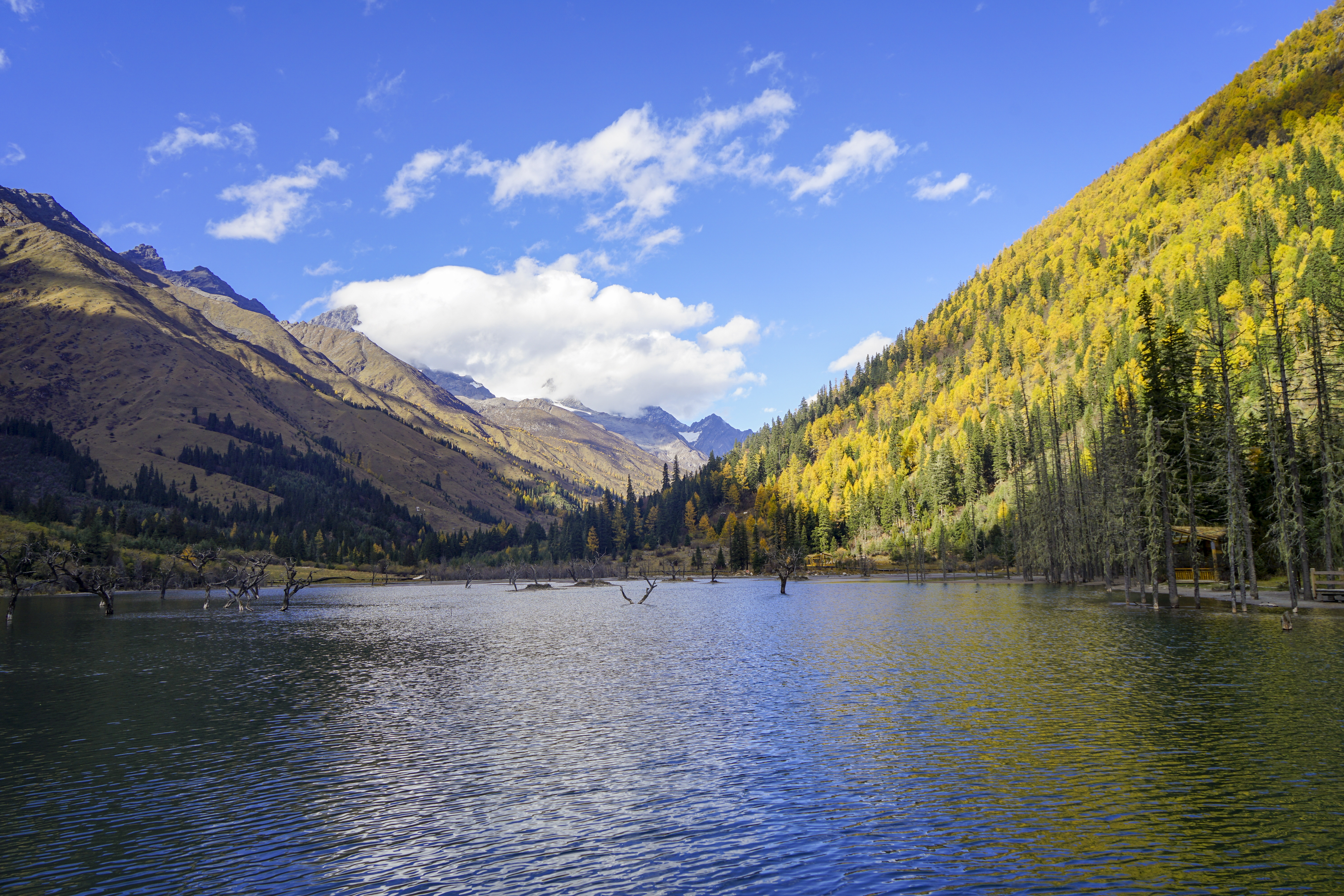 四川旅游四姑娘山阿坝,4月阿坝州必去的景点有什么