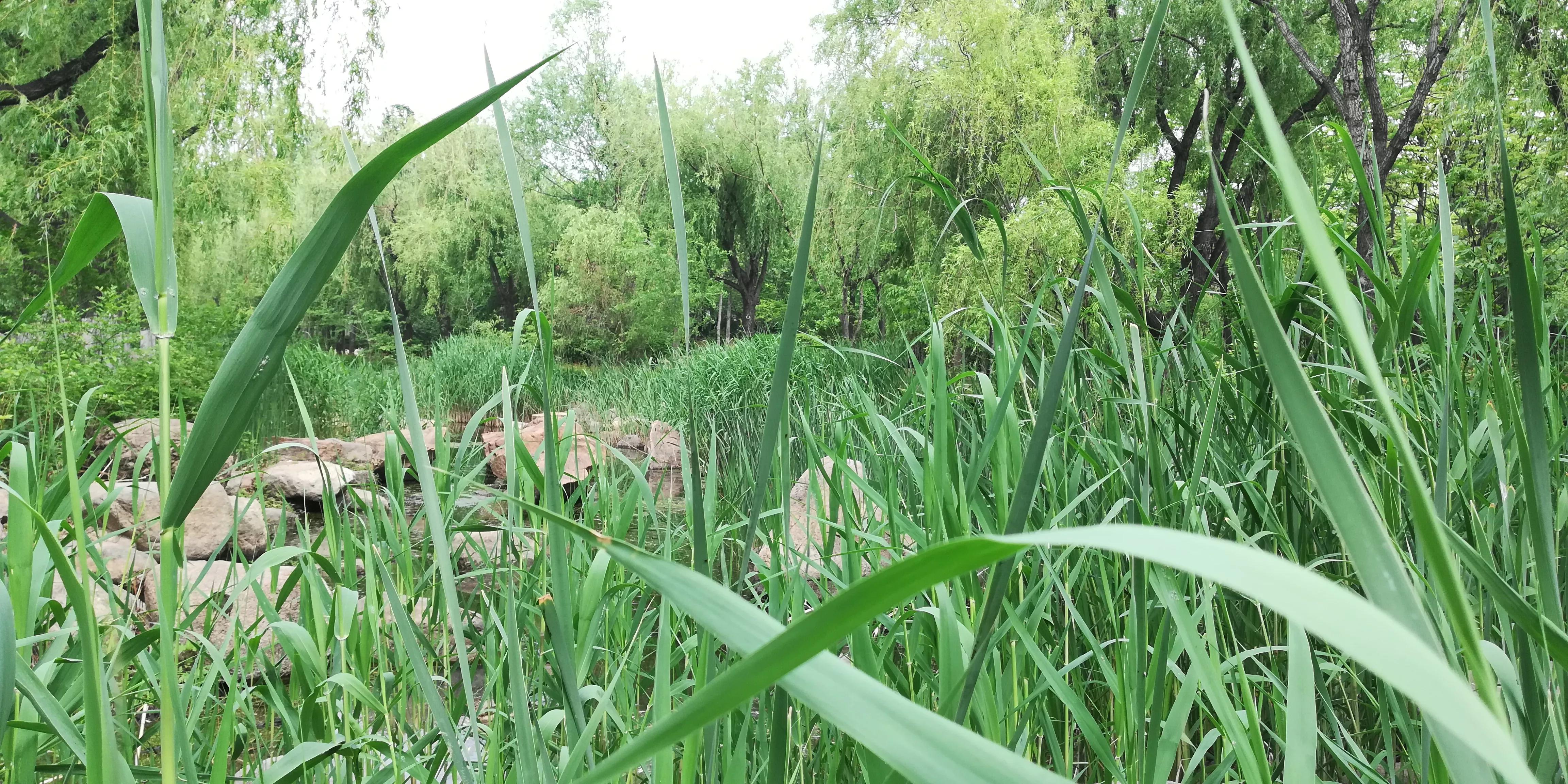 美女稽查官,夜闯“迷你”酒吧,与老板私下做生意