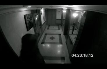 解谜游戏书推荐恐怖,宝藏游戏解谜书