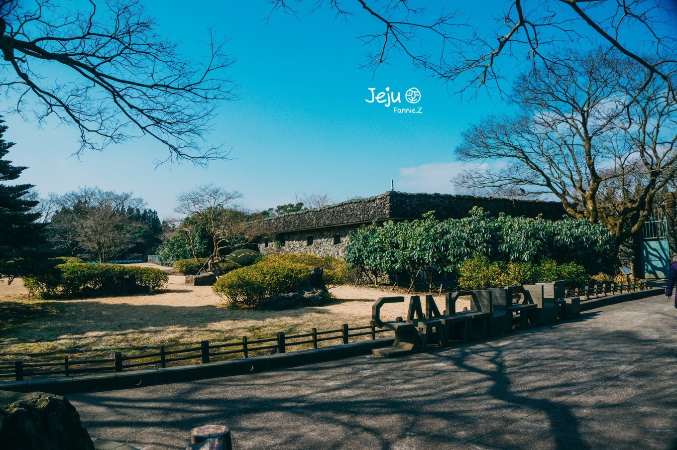 #嗨buy新罗#冬日,济州岛!想大声说遇见你有多幸运