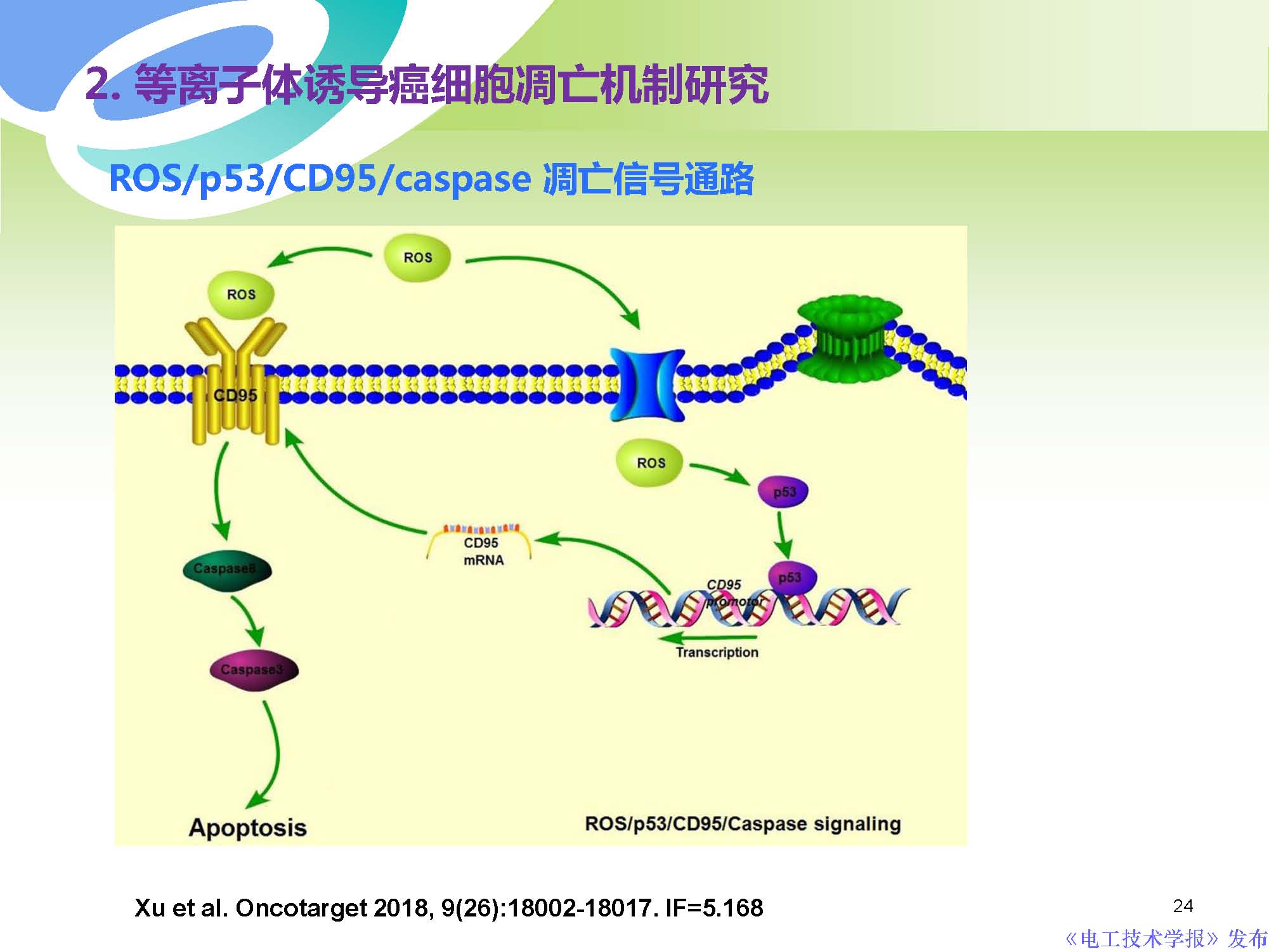 癌症治疗最前沿学术成果,交大癌症治疗新突破