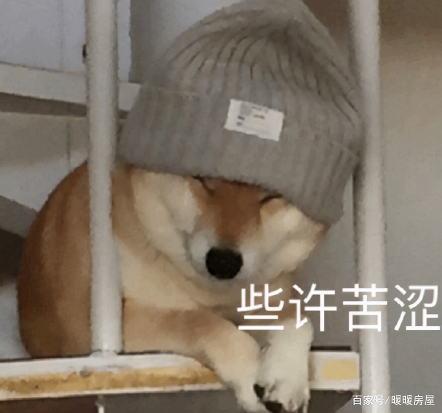 租客退房留下满屋子垃圾和狗屎,重庆女租客退租后留下满屋狗屎