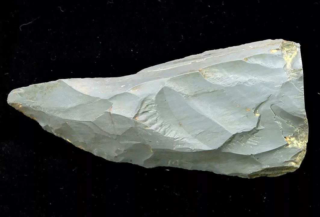 西伯利亚挖掘猛犸象化石,西伯利亚挖出猛犸象遗骸