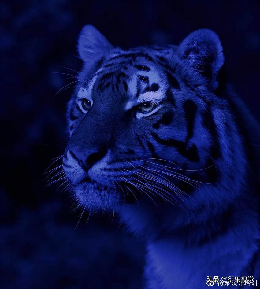 ps发光logo制作教程,ps软件教程制作发光特效