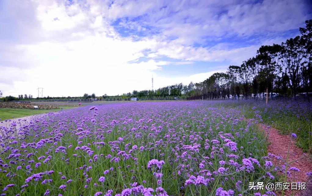 西安市有哪些公园免费开放,西安免费儿童玩的公园