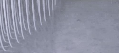 东北纯土豆粉条家常菜,干土豆粉条怎么泡