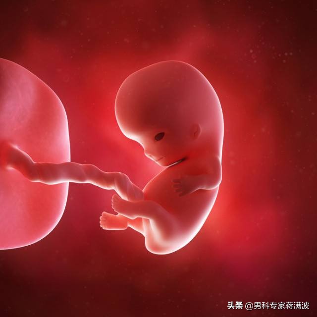 畸形精子百分率,精子尾部畸形率