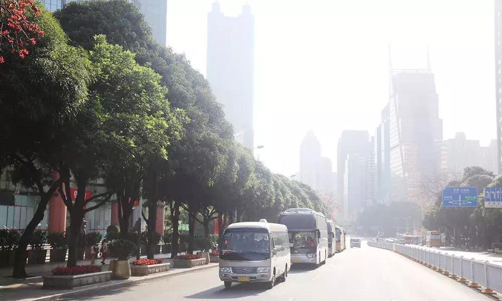 巨邦清明献花丨人间四月无心芳菲，上山看总设计师改革大步豪迈