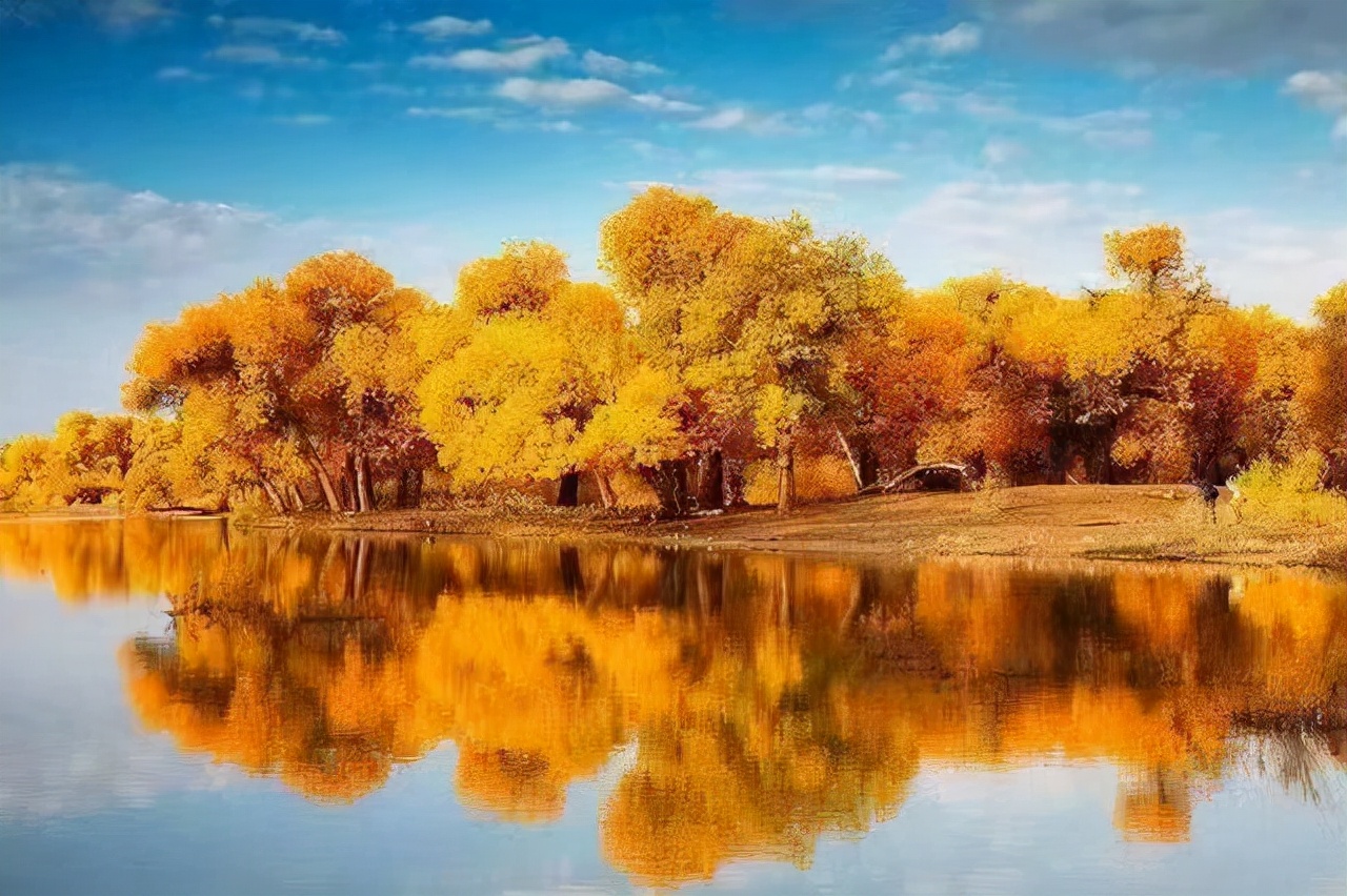 芒果超媒回应股价大跌,芒果超媒暴涨的股价