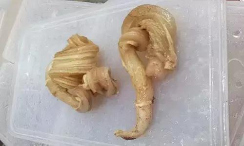 卤牛杂处理,牛杂碎卤制方法